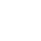 icon1
